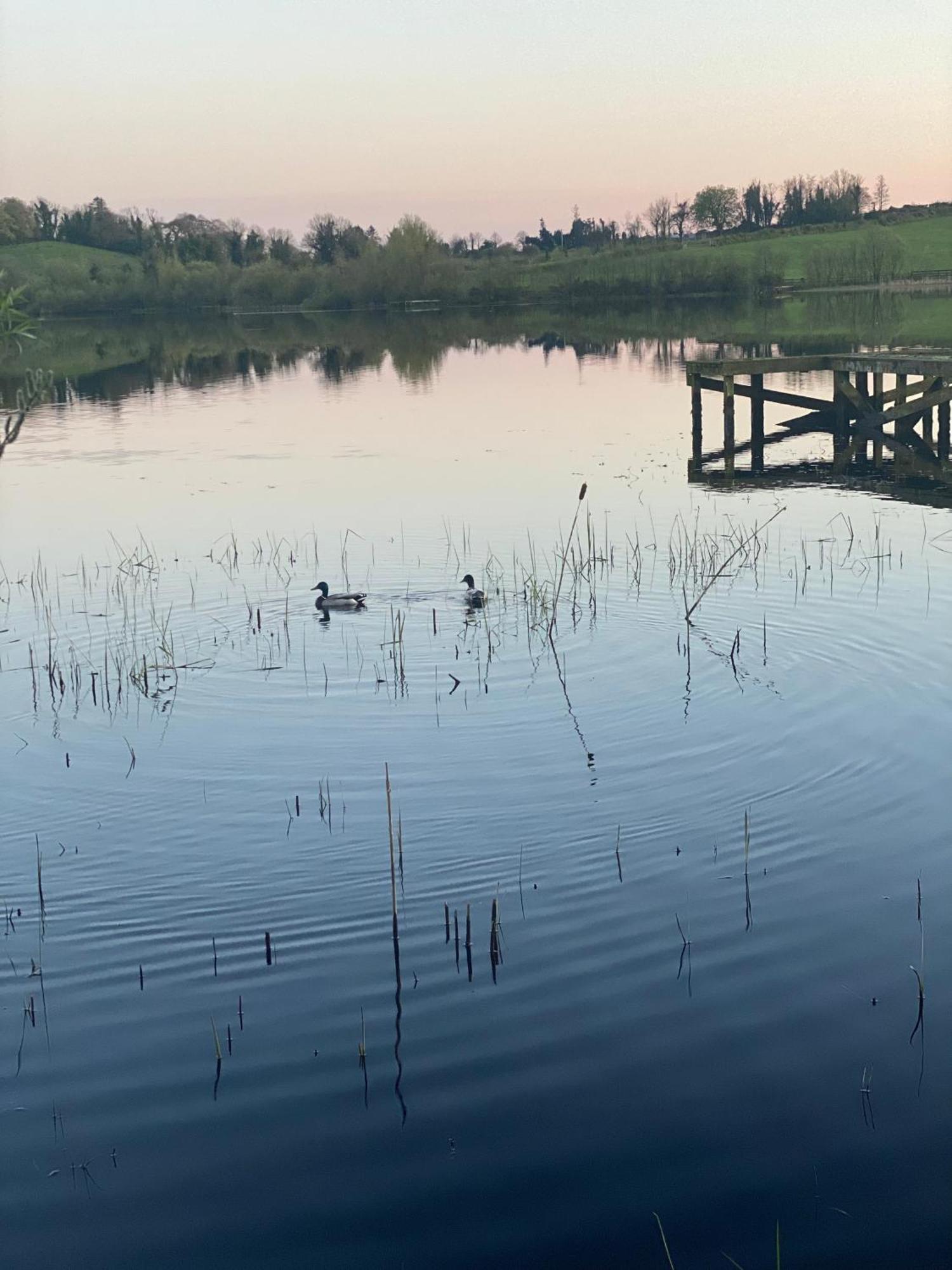 Killyfole Lakeside Lodges Corranny ภายนอก รูปภาพ