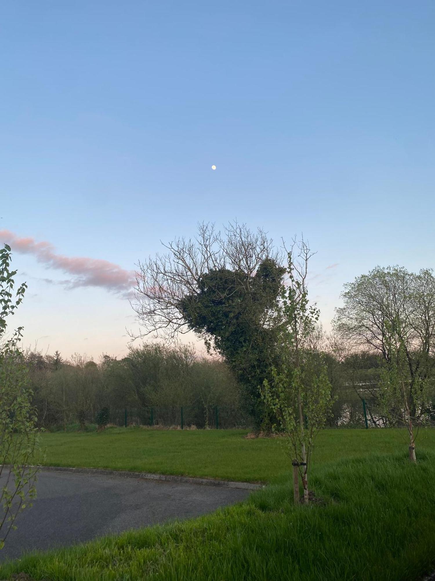 Killyfole Lakeside Lodges Corranny ภายนอก รูปภาพ